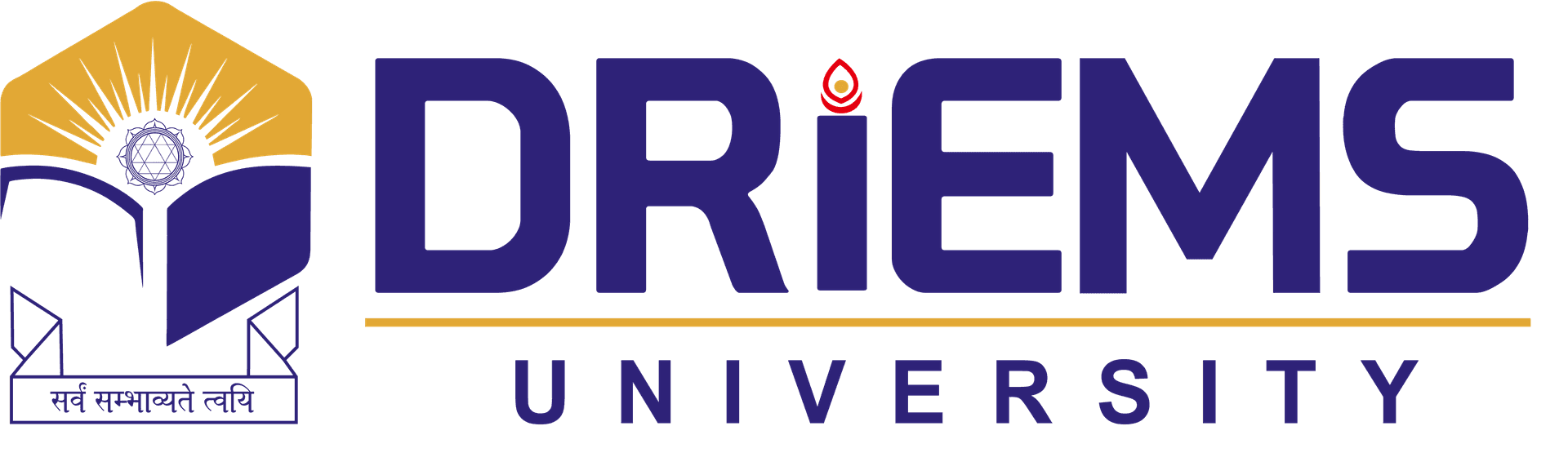 DRIEMS University-logo