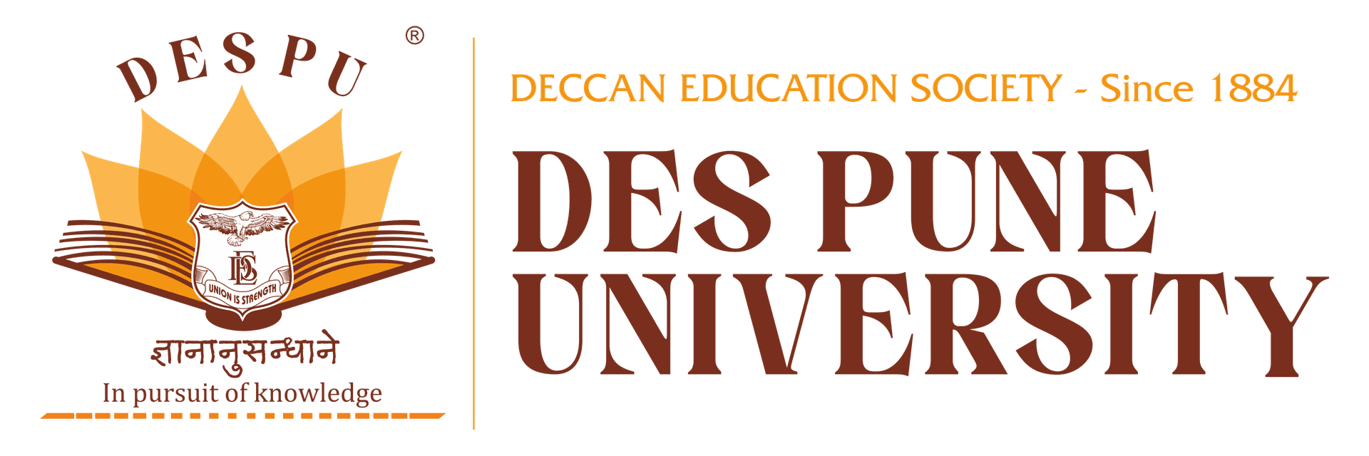 DES PUNE UNIVERSITY-logo