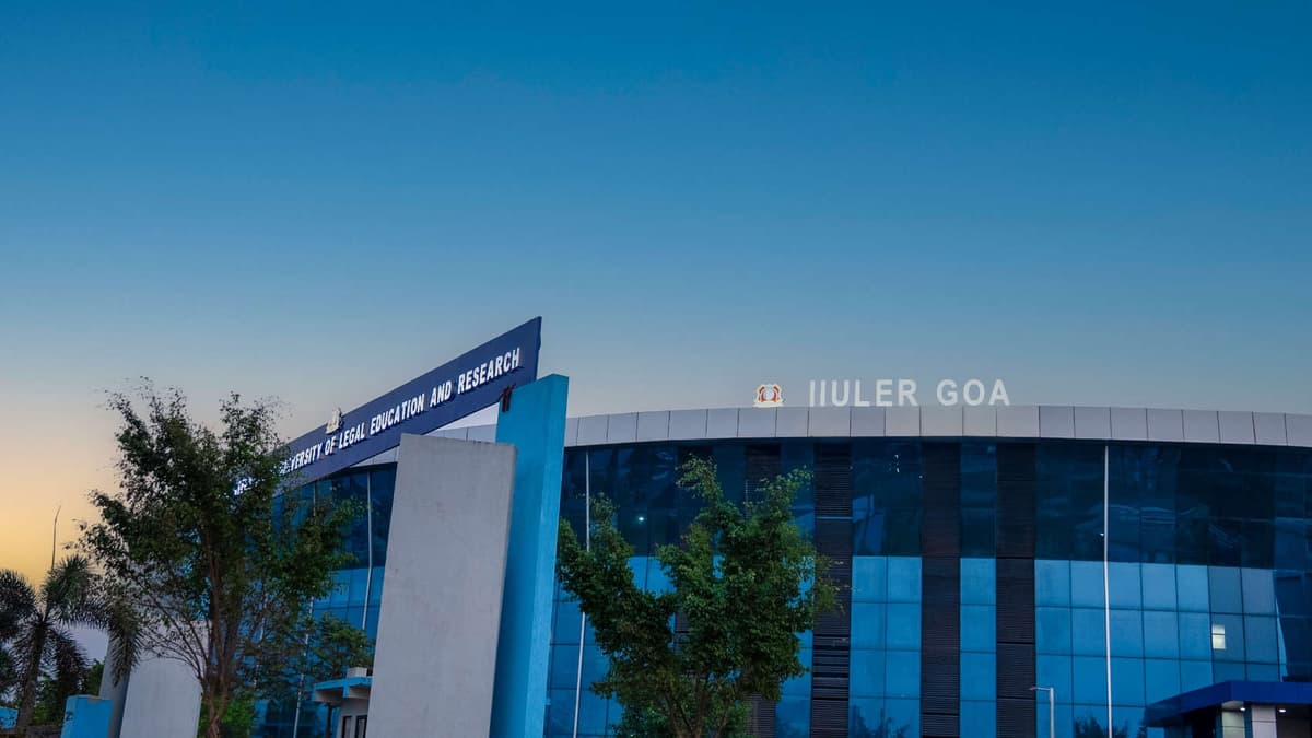 IIULER-gallery-image-4