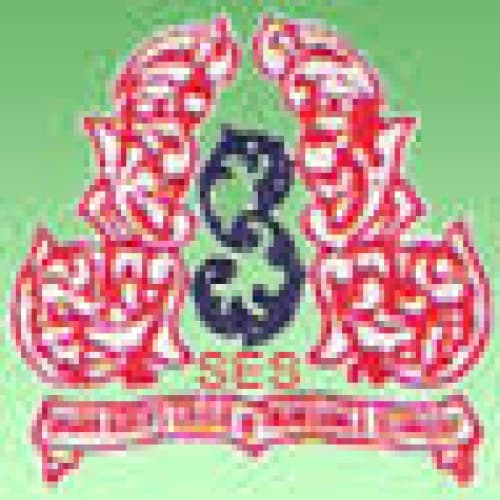 Shadan Degree College For Women-logo