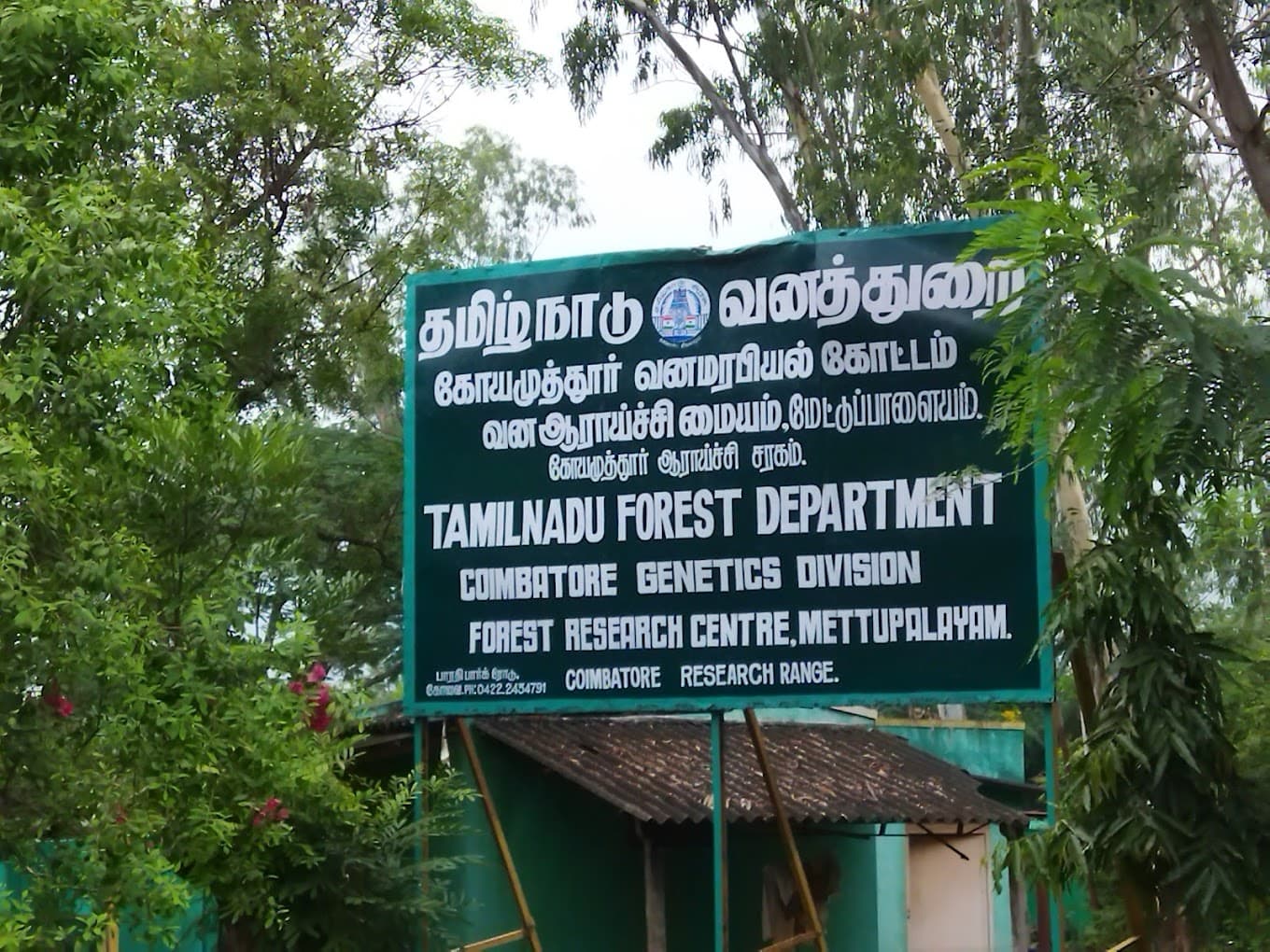 Forest College and Research Institute-image