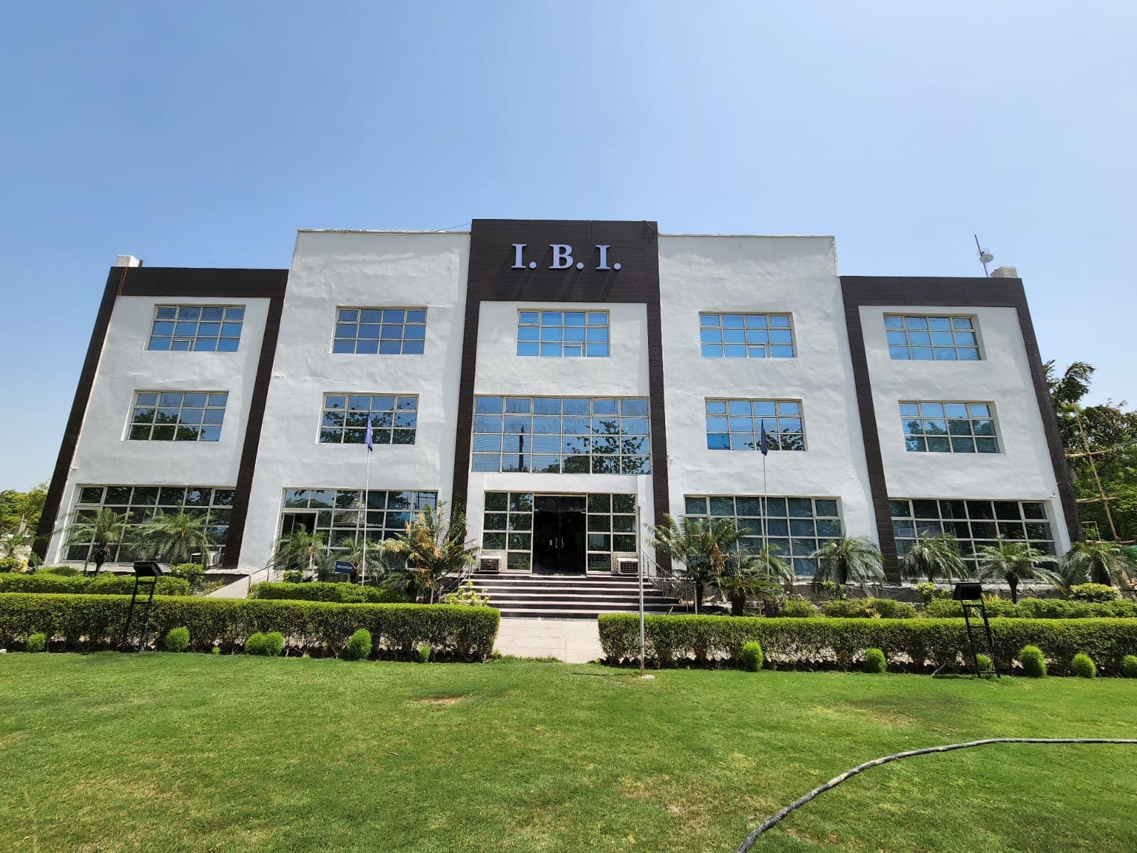 I Business Institute-image