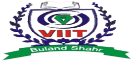 VIIT College of Technology & Management-logo