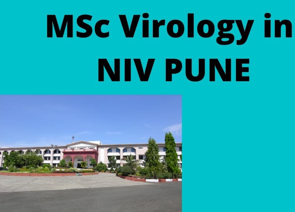 National Institute of Virology-gallery-image-3
