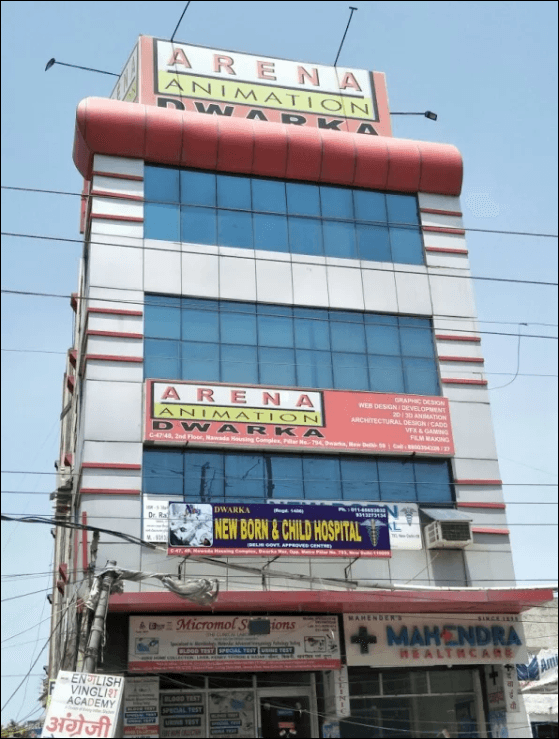 Arena Animation-image