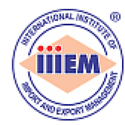 International Institute of Import & Export Management-logo