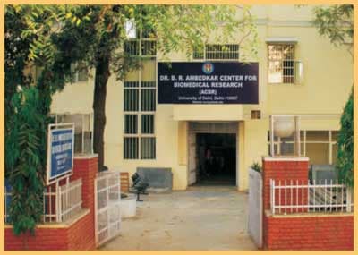 Dr. B. R. Ambedkar Center for Biomedical Research - [ACBR]-image