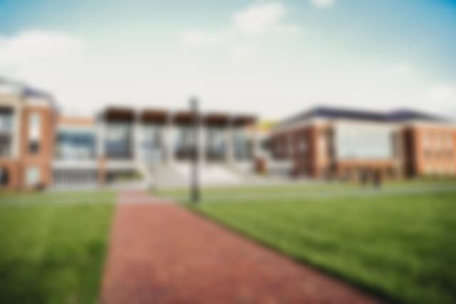 Swahid Sowarani College-image