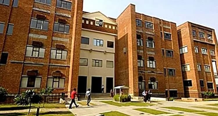 IILM Undergraduate Business School-gallery-image-1