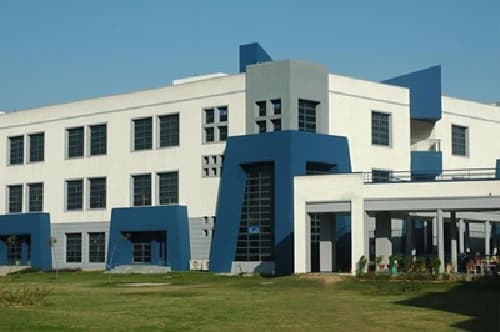 Continental Institute of International Studies-gallery-image-4