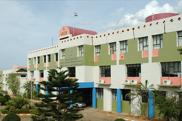 National Research Centre for Banana-image