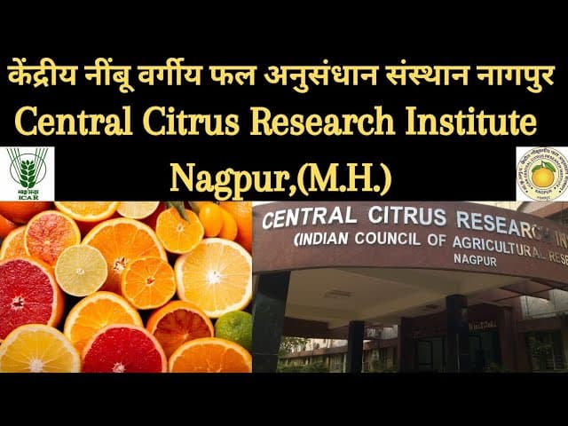 National Research Centre For Citrus-gallery-image-2
