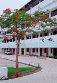 St. Mary's Women's College for Teacher Education-gallery-image-2