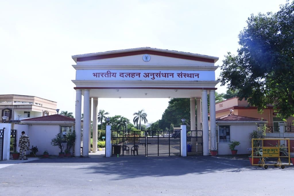 Indian Institute of Pulses Research Kanpur-gallery-image-2