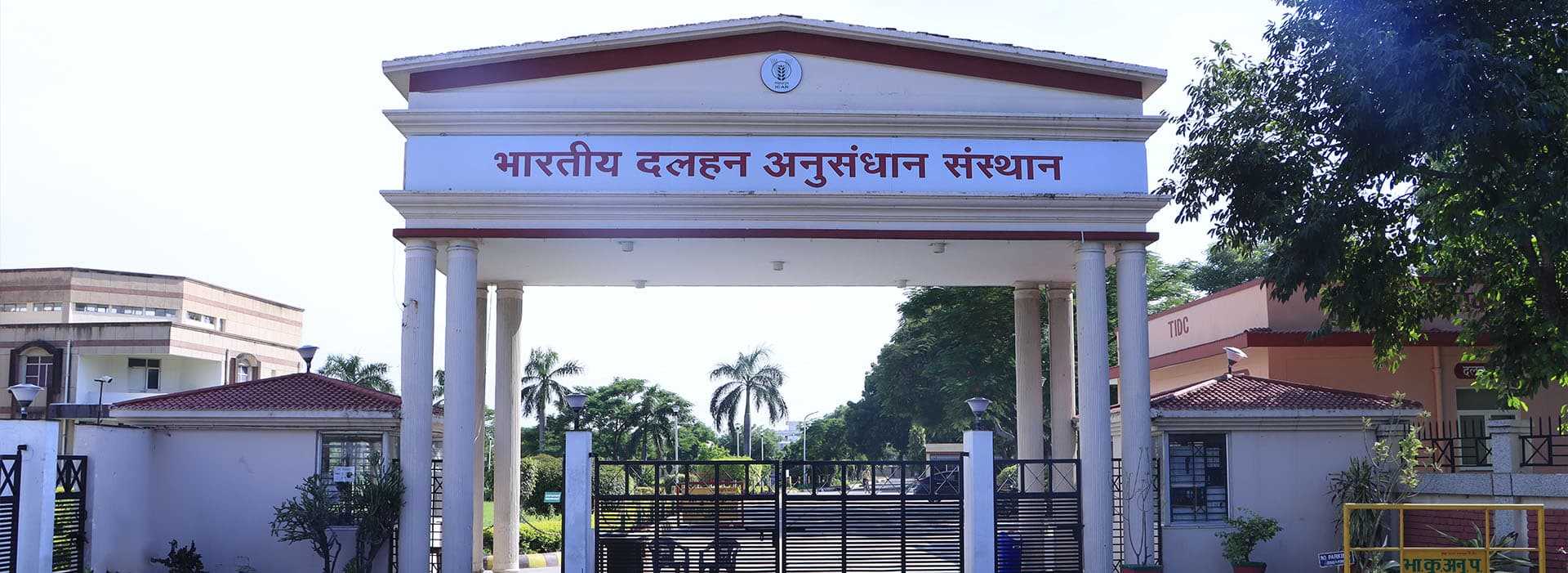 Indian Institute of Pulses Research-image