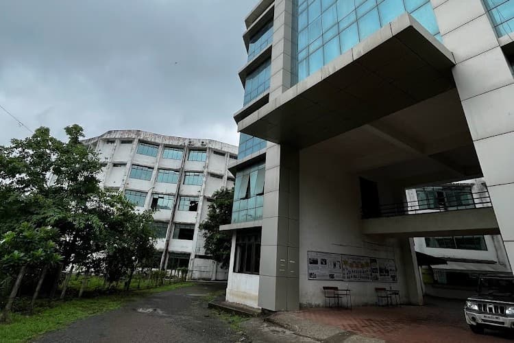 VIVA School of M.C.A.-image