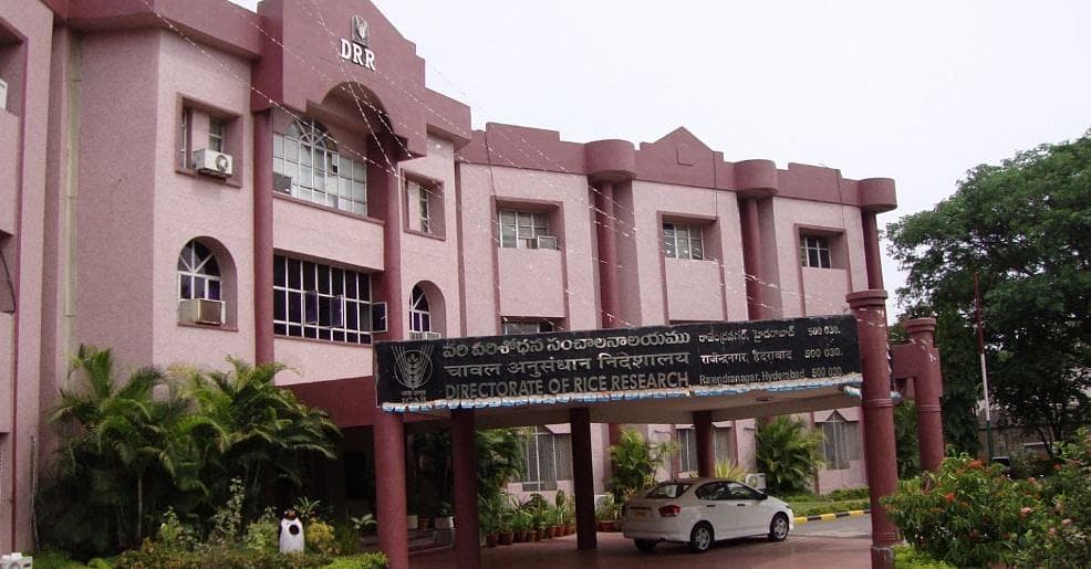 Indian Institute of Rice Research-gallery-image-2