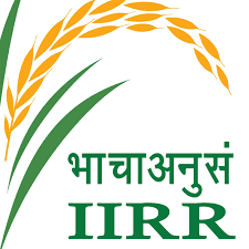 Indian Institute of Rice Research-image