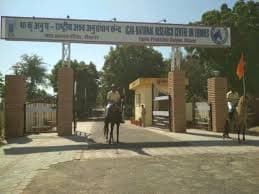 National Research Centre on Equines Hisar-gallery-image-1