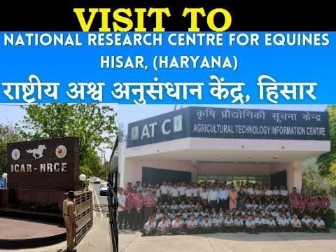 National Research Centre on Equines Hisar-gallery-image-2