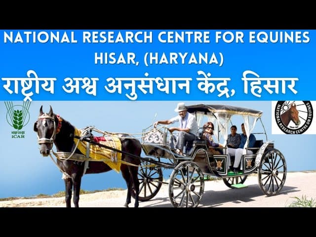 National Research Centre on Equines Hisar-gallery-image-4