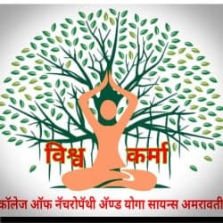 Institute of Yoga and Naturopathy-logo