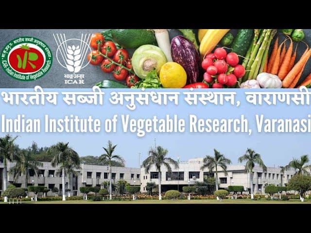 Indian Institute of Vegetable Research-image