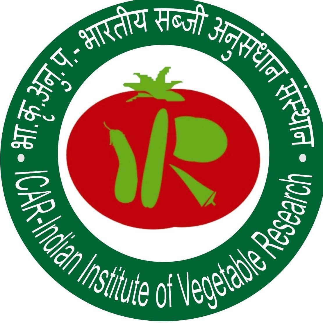 Indian Institute of Vegetable Research-image