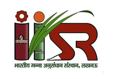 Indian Institute of Sugarcane Research-logo