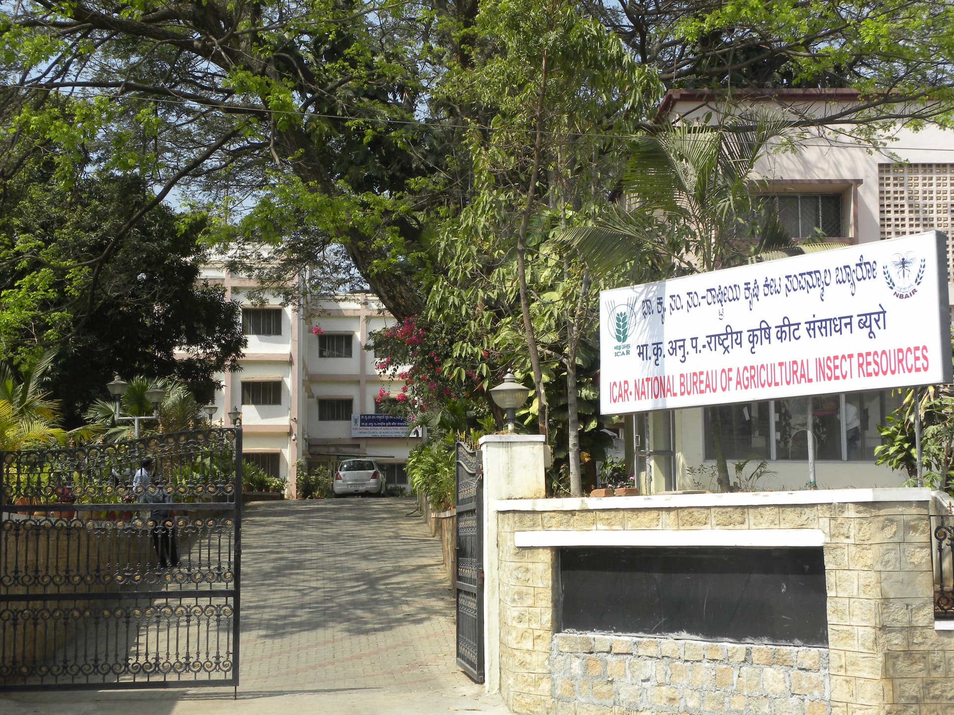 National Bureau of Agricultural Insect Resources-image