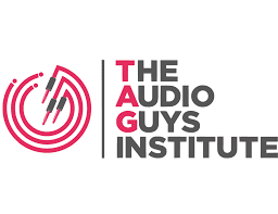 The Audio Guys Institute-logo