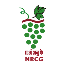 National Research Centre for Grapes Manjri-image