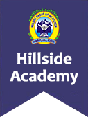 Hillside Academy of Commerce-logo