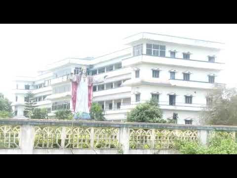 St. Mary's College Of B.Pharmacy-gallery-image-3