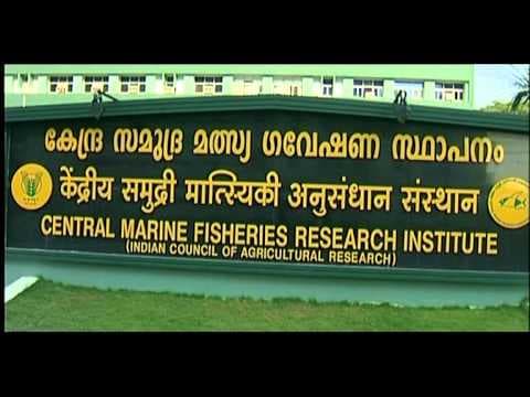 Central Marine Fisheries Research Institute-image