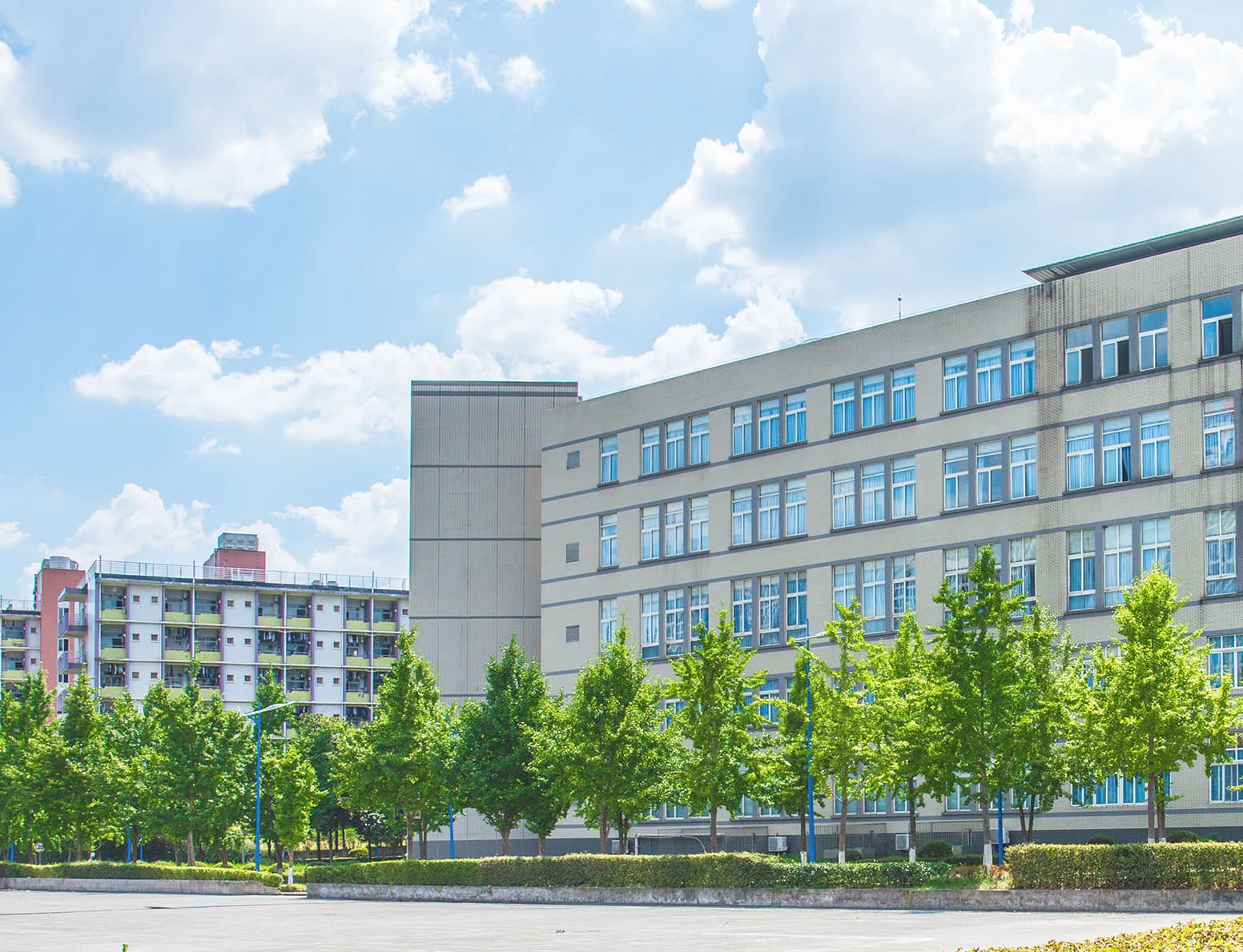 College of Science and Research-image