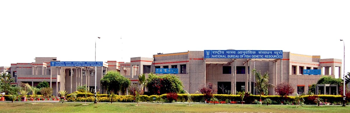 National Bureau of Fish Genetic Resources-gallery-image-1