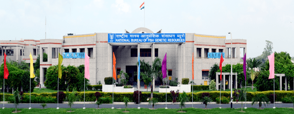 National Bureau of Fish Genetic Resources-gallery-image-4