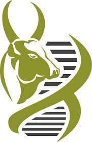 National Institute of Animal Biotechnology-image