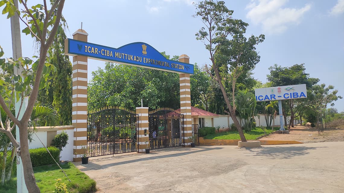 Central Institute of Brackish Water Aquaculture-image