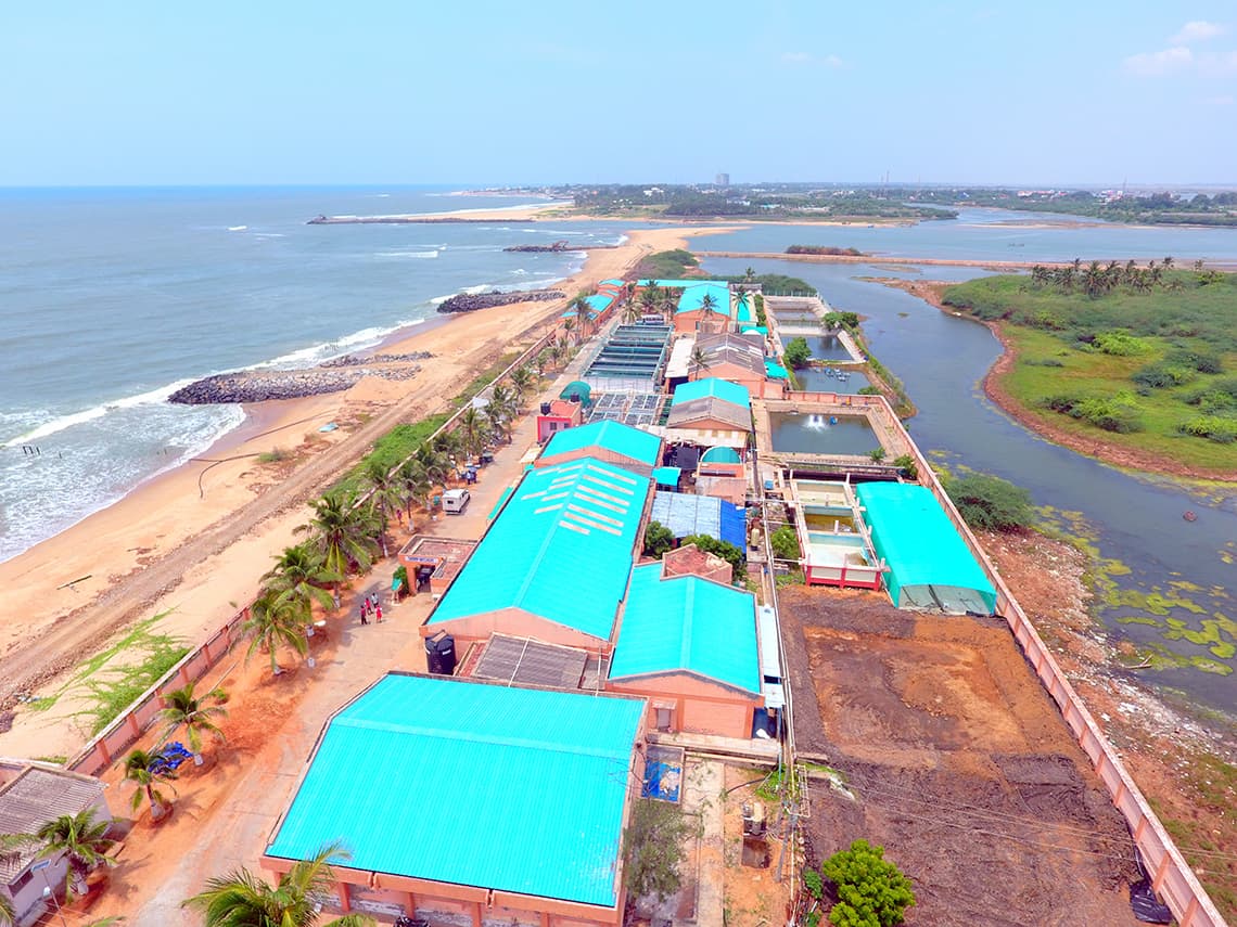 Central Institute of Brackish Water Aquaculture Chennai-gallery-image-3