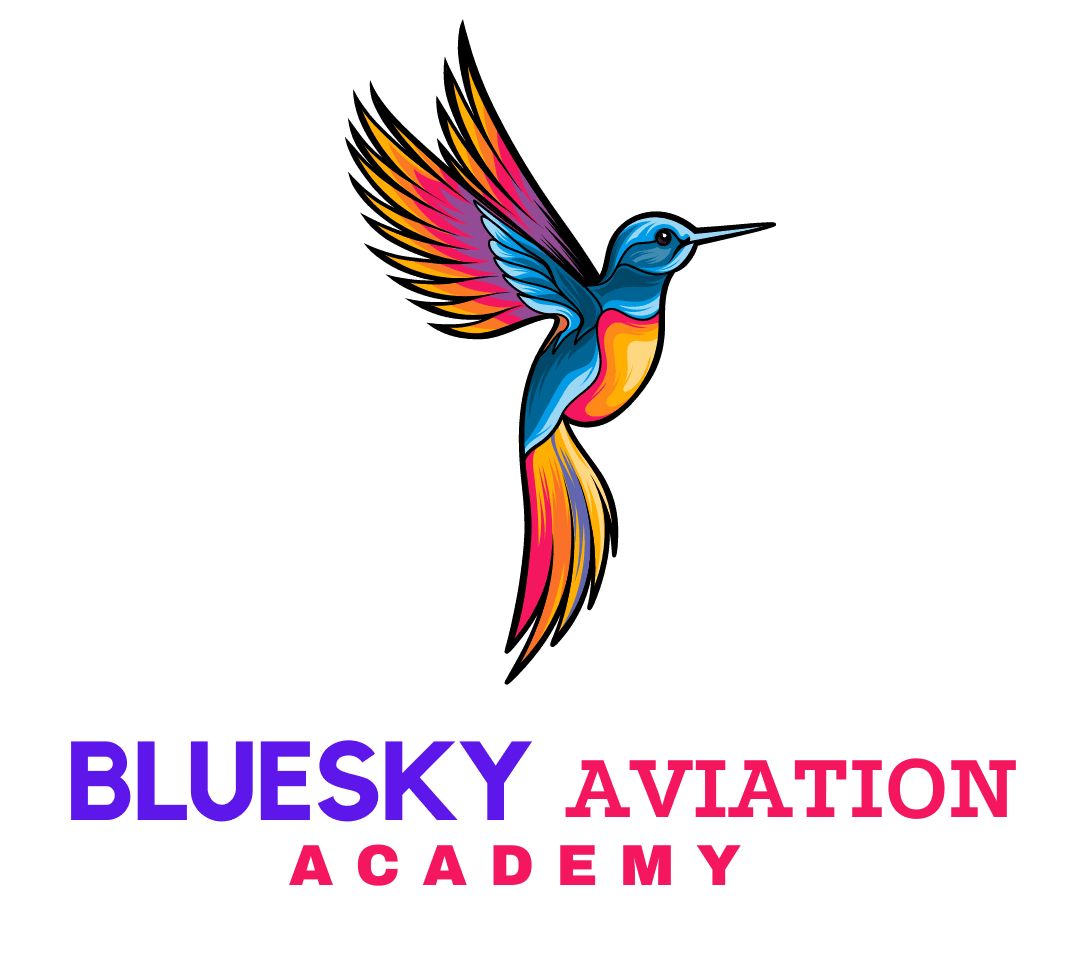 Blue Sky Academy of Aviation and Hospitality Management-gallery-image-3