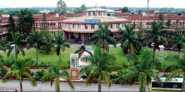 Indian Palmistry Institute-image