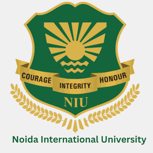 Noida International University, School of Business Management-image
