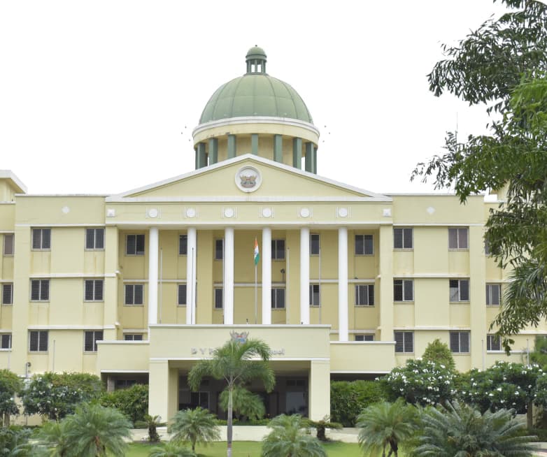 Nuovos by ADYPU-image