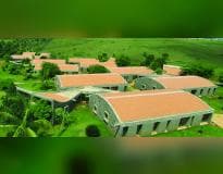 Minerva College of Architecture Ambi-gallery-image-4