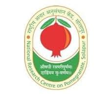 National Research Center on Pomegranate-logo
