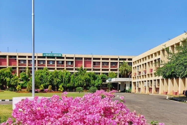 College of Agricultural Engineering and Technology, Punjab Agricultural University-image