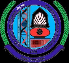 IP Sports College of Education Research and Technology-logo