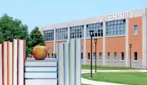 Seth Sriniwas Agarwal Institute of Engineering and Technology-gallery-image-4